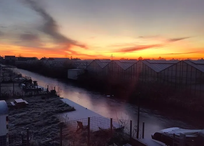 Savannah Roelofarendsveen